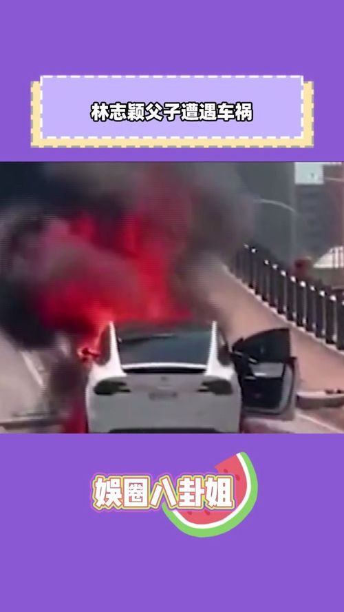 林志穎父子遭遇車禍 滿臉血經(jīng)紀(jì)人都認(rèn)不出,車輛直接被撞報廢